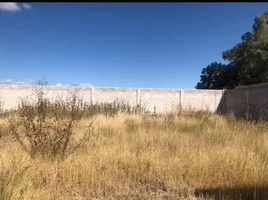  Terreno (Parcela) en venta en Irapuato, Guanajuato, Irapuato