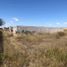  Terreno (Parcela) en venta en Irapuato, Guanajuato, Irapuato