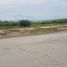  Land for sale in Santo Tomas, Ilocos, Santo Tomas
