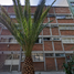 Condominium 3 chambre à vendre à Miguel Hidalgo, Mexico City, Miguel Hidalgo, Mexico City, Mexique