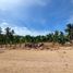  Land for sale in Dauis, Bohol, Dauis