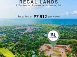  Land for sale in Dauis, Bohol, Dauis