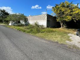  Land for sale in Merida, Yucatan, Merida