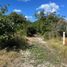  Land for sale in Merida, Yucatan, Merida