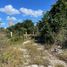  Land for sale in Merida, Yucatan, Merida