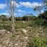  Land for sale in Merida, Yucatan, Merida