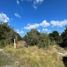  Land for sale in Merida, Yucatan, Merida