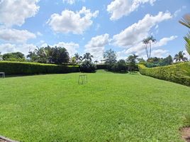 3 Habitación Casa en alquiler en Pereira, Risaralda, Pereira