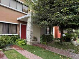 3 Bedroom House for sale in Samborondon, Guayas, Samborondon, Samborondon