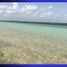  Terreno (Parcela) en venta en Othon P Blanco, Quintana Roo, Othon P Blanco