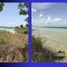  Terreno (Parcela) en venta en Othon P Blanco, Quintana Roo, Othon P Blanco