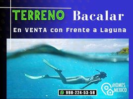  Terreno (Parcela) en venta en Othon P Blanco, Quintana Roo, Othon P Blanco