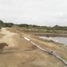  Land for sale in Tumbes, Tumbes, Tumbes, Tumbes, Tumbes