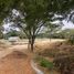  Land for sale in Guayaquil, Guayas, Guayaquil, Guayaquil, Guayas