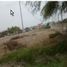  Land for sale in Tumbes, Tumbes, Tumbes, Tumbes