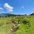  Land for sale in Alangasi, Quito, Alangasi