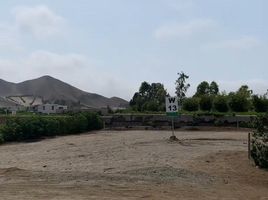  Terreno (Parcela) en venta en Cañete, Lima, Mala, Cañete