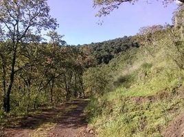  Grundstück zu verkaufen in Pachuca De Soto, Hidalgo, Pachuca De Soto