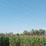  Land for sale in Ixtlahuacan De Los Membrillos, Jalisco, Ixtlahuacan De Los Membrillos