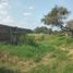  Land for sale in Ixtlahuacan De Los Membrillos, Jalisco, Ixtlahuacan De Los Membrillos