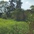  Land for sale in Ixtlahuacan De Los Membrillos, Jalisco, Ixtlahuacan De Los Membrillos