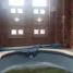 3 Schlafzimmer Haus zu verkaufen in Valle De Bravo, Mexico, Valle De Bravo