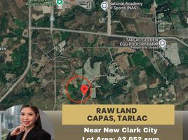  Land for sale in Capas, Tarlac, Capas