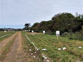  Terrain for sale in Mala, Cañete, Mala