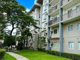 1 Habitación Departamento en alquiler en Laguna, Calabarzon, Calamba City, Laguna