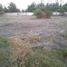  Land for sale in Silao, Guanajuato, Silao