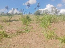  Land for sale in Sibonga, Cebu, Sibonga