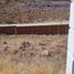  Terreno (Parcela) en venta en San Luis Potosi, San Luis Potosí, San Luis Potosi, San Luis Potosí