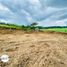  Land for sale in Banten, Petir, Serang, Banten