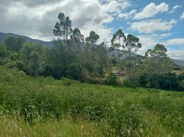  Terrain for sale in Boyaca, Villa De Leyva, Boyaca