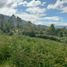  Terrain for sale in Villa De Leyva, Boyaca, Villa De Leyva