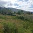  Land for sale in Supertiendas Aki, Villa De Leyva, Villa De Leyva