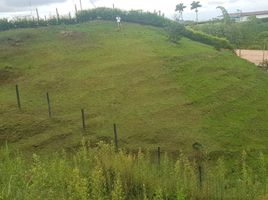  Land for sale in Pereira, Risaralda, Pereira