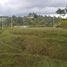  Land for sale in Pereira, Risaralda, Pereira