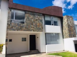 3 Schlafzimmer Haus zu verkaufen in Quito, Pichincha, Quito, Quito, Pichincha, Ecuador