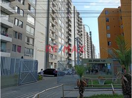 3 Bedroom Condo for sale in Ventanilla, Callao, Ventanilla, Callao, Callao