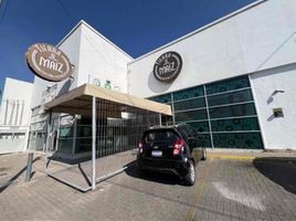  Hotel en alquiler en México, Irapuato, Guanajuato, México