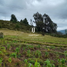  Land for sale in San Joaquin, Azuay, San Joaquin, Cuenca