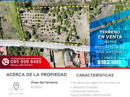  Terrain for sale in San Antonio, Ibarra, San Antonio