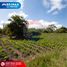  Land for sale in San Antonio, Ibarra, San Antonio