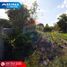  Land for sale in San Antonio, Ibarra, San Antonio