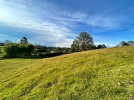  Grundstück zu verkaufen in Rionegro, Antioquia, Rionegro, Antioquia