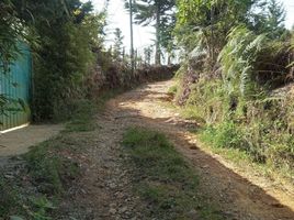  Terreno (Parcela) en venta en Guarne, Antioquia, Guarne