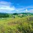  Terreno (Parcela) en venta en Consolacion, Central Visayas, Consolacion