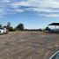  Land for rent in Abasolo, Guanajuato, Abasolo