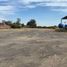  Land for rent in Abasolo, Guanajuato, Abasolo, Guanajuato